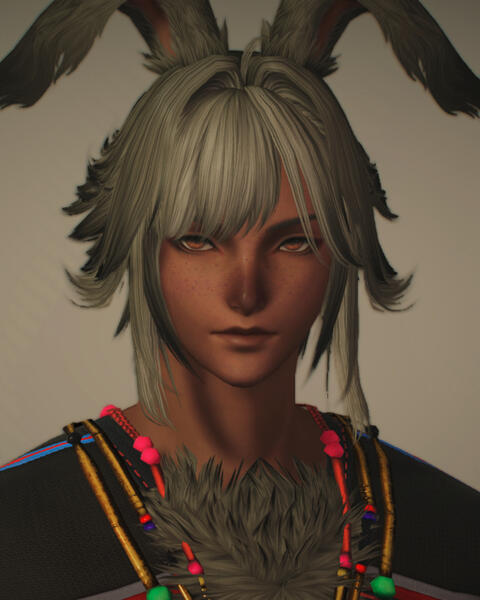 she/he/they